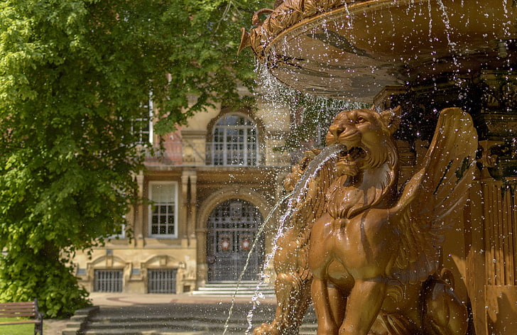 tree, England, fountain, town hall, Leicester, Leicester Town Hall, HD wallpaper