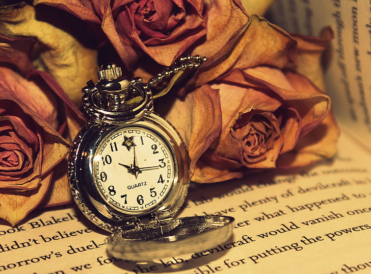 arloji saku bulat berwarna perak, mawar, jam, membaca, Wallpaper HD
