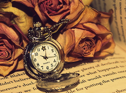 кръгъл сребърен джобен часовник, роза, часовник, четене, HD тапет HD wallpaper