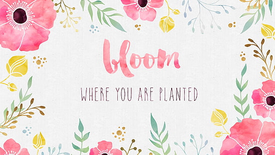 :), cytat, kwiat, biały, różowy, słowo, karta, akwarela, Tapety HD HD wallpaper