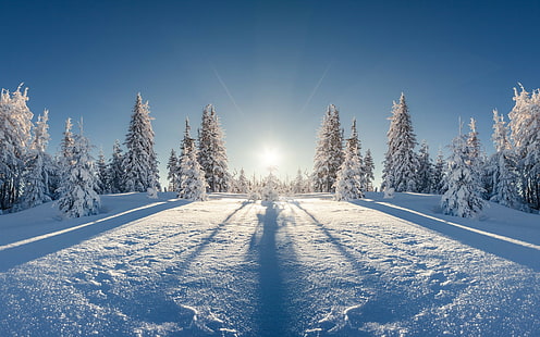 Kepingan salju musim dingin, salju, pohon, hutan, musim dingin, alam, kepingan salju, Wallpaper HD HD wallpaper