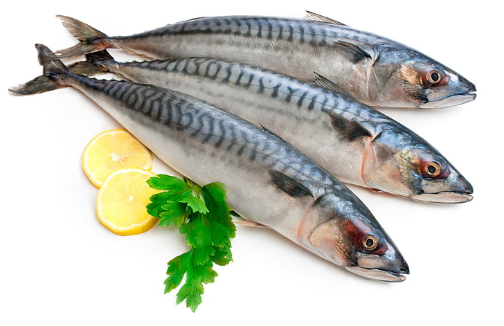 three gray fishes, mackerel, three, fish, lemon, parsley, white background, HD wallpaper