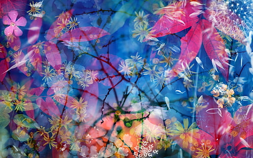 Blommor, röda löv, blå bakgrund, vackert landskap, blommor, rött, löv, blått, bakgrund, vackert, landskap, HD tapet HD wallpaper