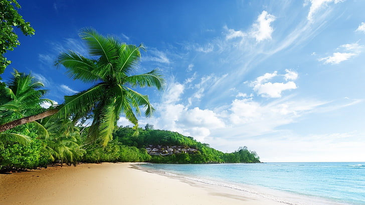 playa, palmeras, cielo, nubes, mar, Fondo de pantalla HD