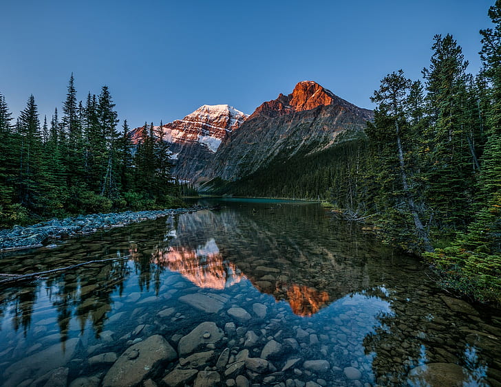 paysage, pins, parc national Jasper, Alberta, Fond d'écran HD