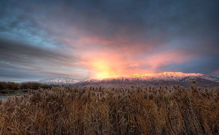 Mt Timpanogos Alpenglow, dried grass field, United States, Utah, Mount, hdr, Timpanogos, Alpenglow, HD wallpaper