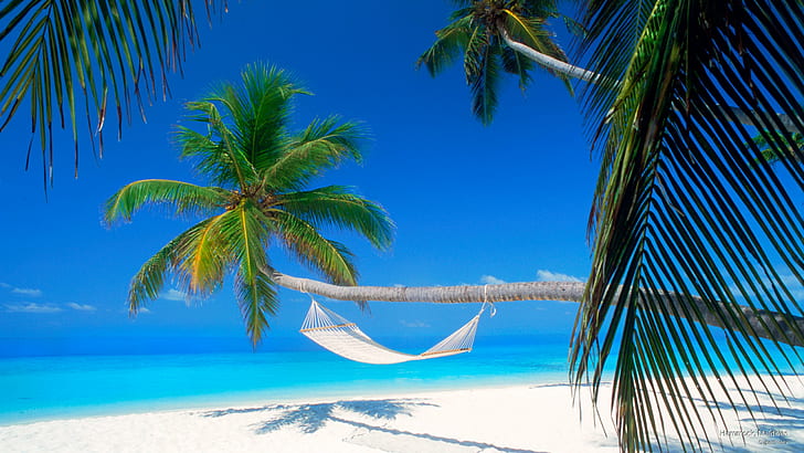 Hängematte, Malediven, Inseln, HD-Hintergrundbild