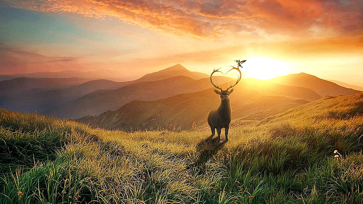 fantasy art, deer, antler, bird, sunrise, dawn, good morning, landscape, mountains, field, HD wallpaper