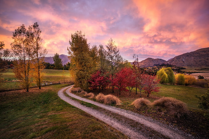road, autumn, mountains, hills, morning, New Zealand, HD wallpaper