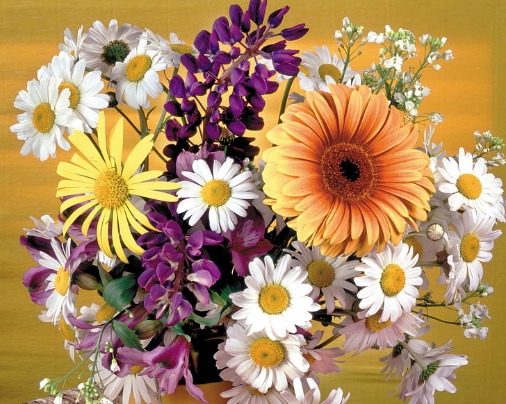 fleurs pétales blanches-violettes et jaunes, gerbera, marguerites, fleurs, bouquet, décoration, vase, beauté, Fond d'écran HD