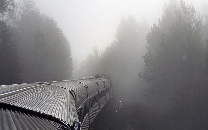 grey train, mist, train, vehicle, railway, gray, HD wallpaper