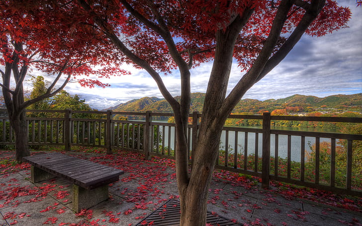 Autumn HD, photography, autumn, HD wallpaper