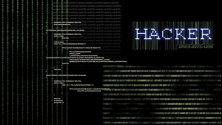 Anarchie, Computer, dunkel, Hacker, sadisch, HD-Hintergrundbild