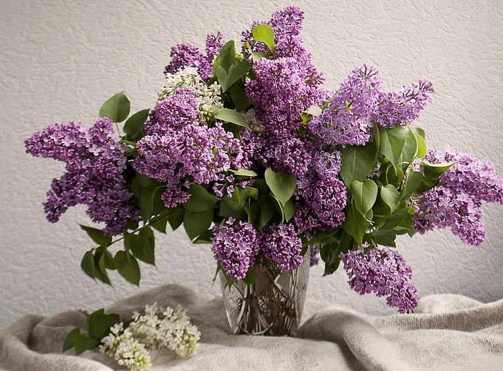 purple petaled flowers, lilacs, bouquet, vase, spring, mood, HD wallpaper