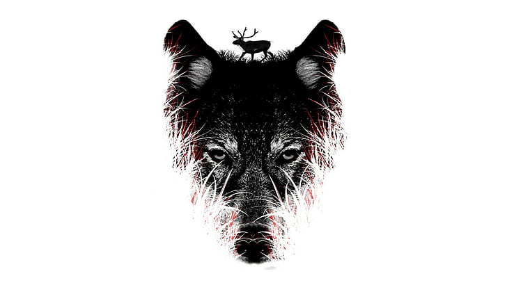 Wolf White HD, numérique / illustrations, blanc, loup, Fond d'écran HD