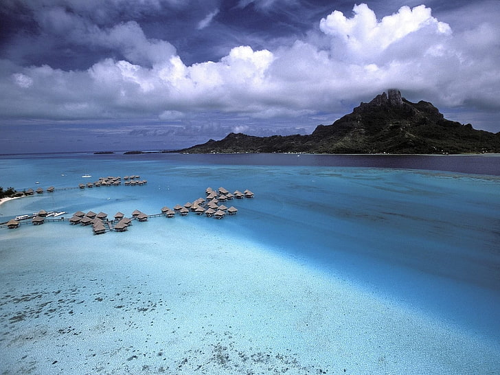 흰색과 검은 색 물고기 그림, 바다, 섬, HD 배경 화면