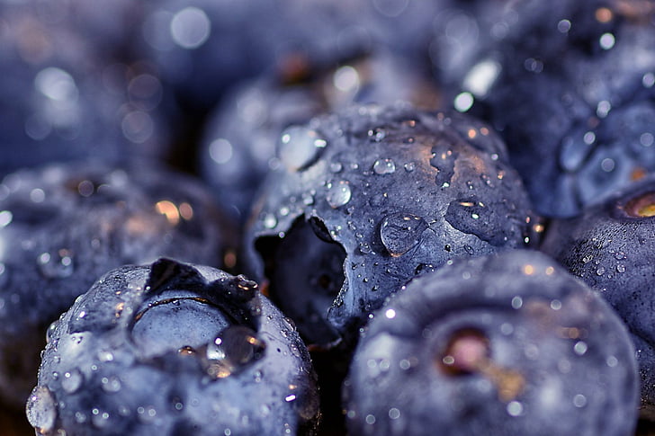 Makanan, Blueberry, Berry, Close-Up, Buah, Tetesan Air, Wallpaper HD