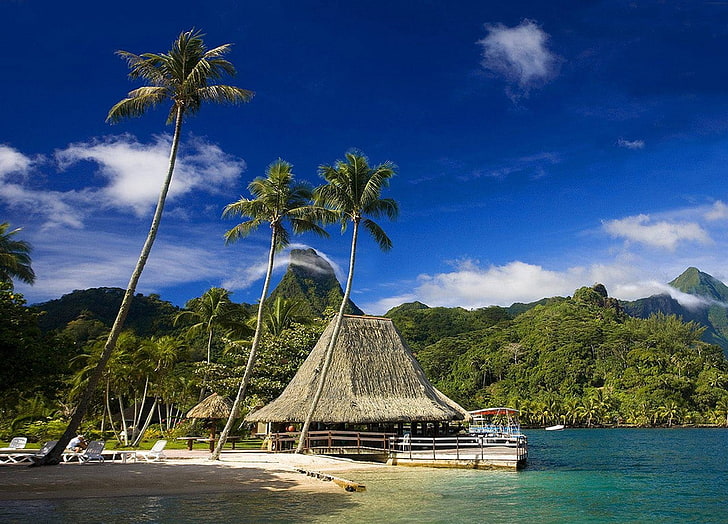 Таити, тропически, остров, палми, планини, плаж, гора, Френска Полинезия, курорт, природа, пейзаж, HD тапет