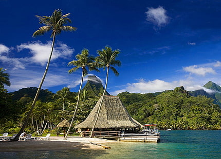Таити, тропически, остров, палми, планини, плаж, гора, Френска Полинезия, курорт, природа, пейзаж, HD тапет HD wallpaper