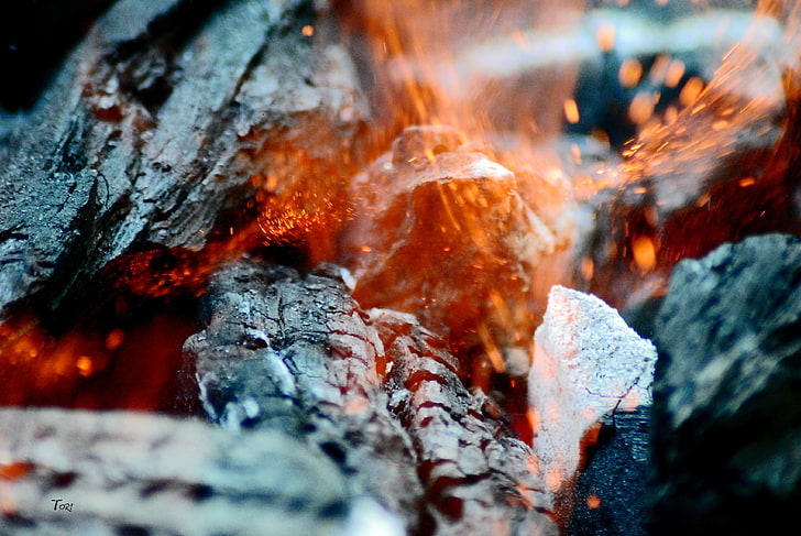 charbon de bois noir, gros plan photo de feu de joie, macro, feu, gravure, étincelles, Fond d'écran HD