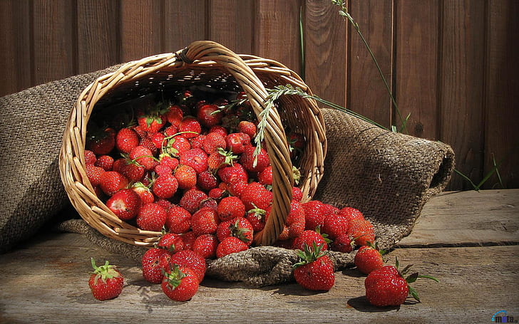 Strawberry Fruits HD, fotografi, frukt, jordgubbe, HD tapet