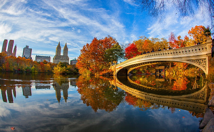 セントラルパークニューヨーク市の紅葉、橋の近くの木と高層ビル、季節、秋、都市、美しい、鳥、葉、湖、アヒル、都市、橋、反射、11月、紅葉、ニューヨーク、ニューヨーク市、セントラルパーク、弓橋、 HDデスクトップの壁紙