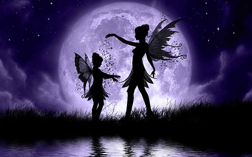 silhouette de deux fées papier peint, fantaisie, fée, elfe, lune, étoiles, ailes, femme, Fond d'écran HD HD wallpaper