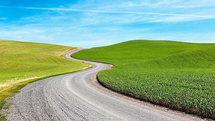 green grass field near concrete road, Curves, green grass, concrete road, landscape, palouse, fields, rural, nature, Pacific Northwest, Canon EOS 5D Mark III, curve, field  hill, Canon EF, 70mm, f/2, USM, washington, road, rural Scene, hill, summer, field, landscaped, outdoors, sky, europe, agriculture, land, green Color, meadow, scenics, grass, farm, HD wallpaper