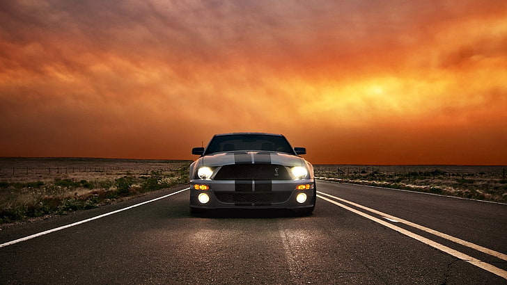 road, sunset, car, sky, ford mustang shelby, shelby cobra, ford mustang shelby gt500, ford mustang, vehicle, road trip, driving, evening, HD wallpaper