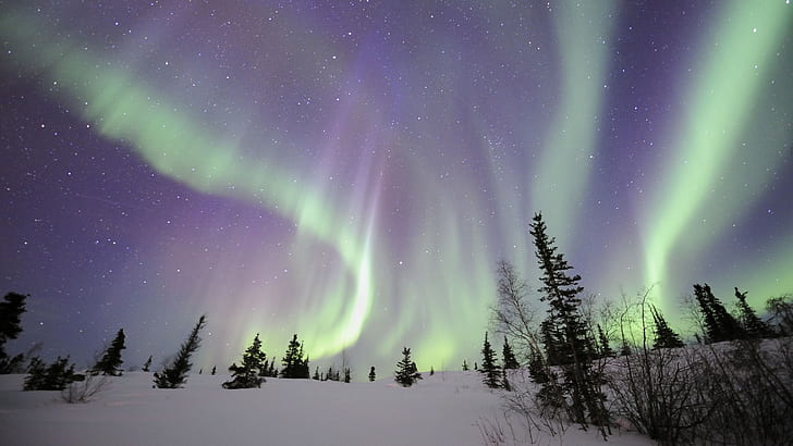 Aurora Borealis Northern Lights Snow Winter Night Stars HD, nature, nuit, neige, étoiles, hiver, lumières, aurora, borealis, nord, Fond d'écran HD