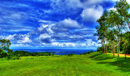зеленое дерево, залив, манильский залив, отпуск, дерево, Филиппины, остров Коррегидор, тропический, море, солнце, небо, трава, облака, синий зеленый, белый, пейзаж, природа, лето, синий, на открытом воздухе, пейзажи, облако - небо, пляж, береговая линия, зеленый цвет, HD обои HD wallpaper