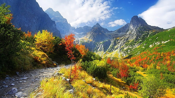 foto de florestas e montanhas, natureza, montanhas, paisagem, HD papel de parede