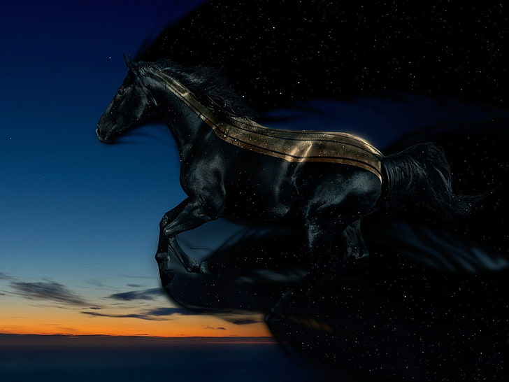 черный конь цифровые обои, конь, небо, полет, космос, звёзды, HD обои