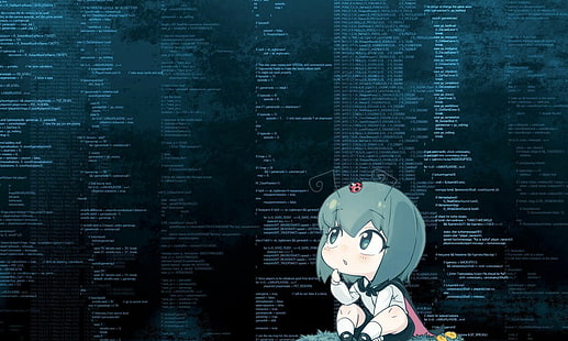 anime, código, Fondo de pantalla HD HD wallpaper