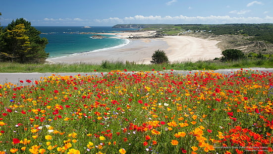 Pleherel Beach, Cotes D Armour, Bretania, Francja, wiosna / lato, Tapety HD HD wallpaper