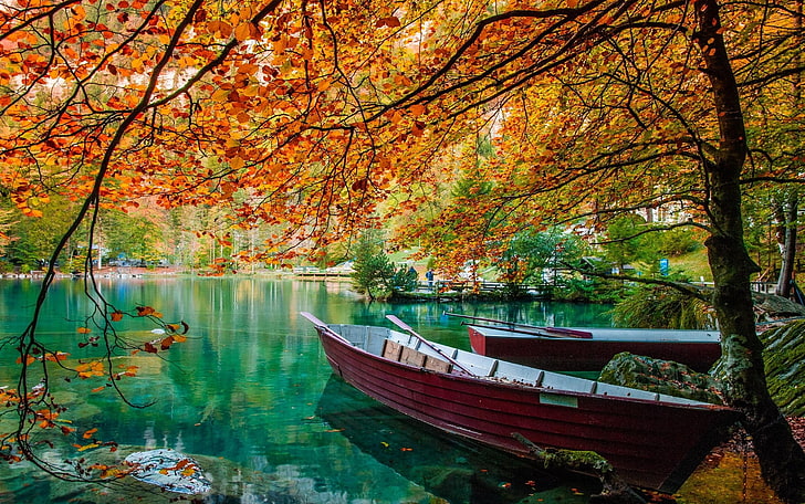 brun kanot, två röda kanoter på blå vattnet omger träd foto, natur, landskap, sjö, träd, båt, löv, falla, grön, vatten, HD tapet
