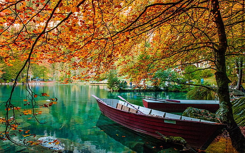 коричневое каноэ, два красных каноэ на синем водоеме окружают деревья фото, природа, пейзаж, озеро, деревья, лодка, листья, осень, зеленый, вода, HD обои HD wallpaper