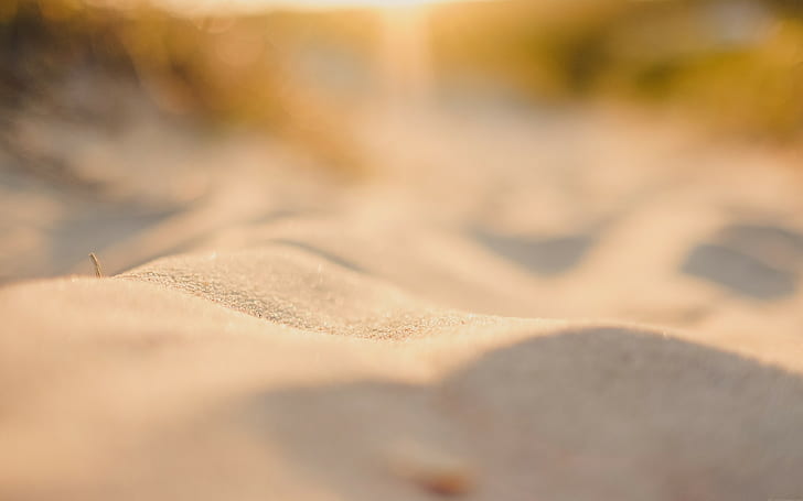фотография, макро, пясък, дълбочина на рязкост, слънчева светлина, бежово, HD тапет
