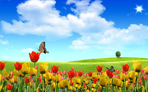 жълти и червени петилирани цветя, лалета, цветя, поле, дърво, небе, слънце, облаци, пеперуди, HD тапет HD wallpaper