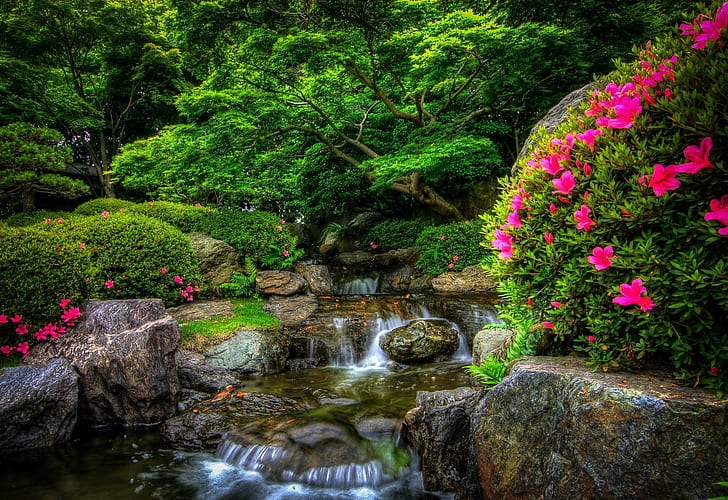 Park, river, flowers, scenery of waterfalls painting, Park, forest, river, stones, flowers, HD wallpaper