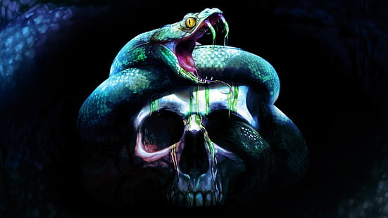 cobra, serpente, escuridão, crânio, cobra, HD papel de parede HD wallpaper