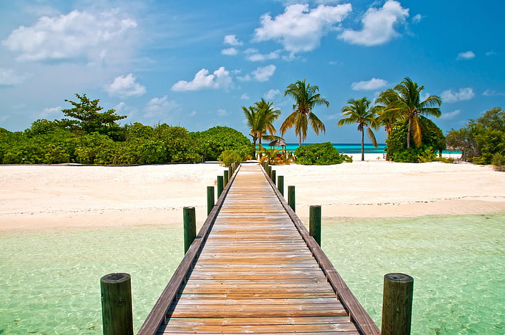 brown wooden dock, beach, the sky, bridge, palm trees, blue, landscapes, island, exotic, Beautiful pontoon, HD wallpaper