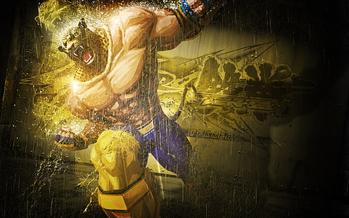 Желтый Tekken Street Fighter King HD, король от Tekken, видеоигры, желтый, улица, боец, король, Tekken, HD обои HD wallpaper