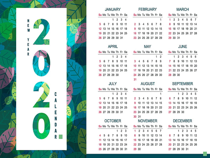 ปฏิทิน, 2020 (ปี), ตัวเลข, เดือน, ใบไม้, วอลล์เปเปอร์ HD
