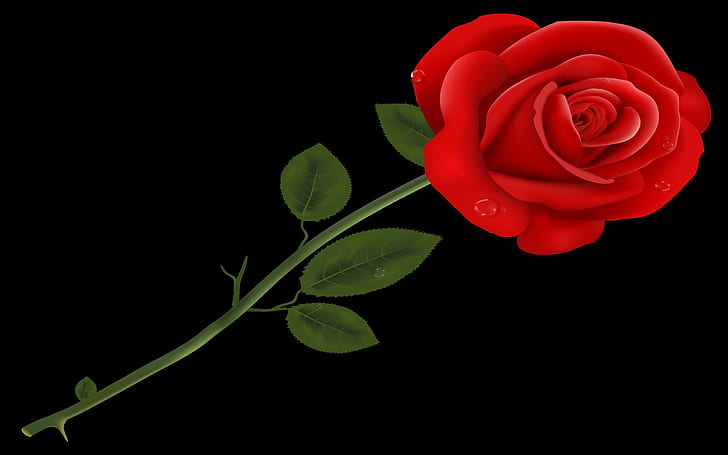 Rosa Roja Transparente Png Clipart, Fondo de pantalla HD