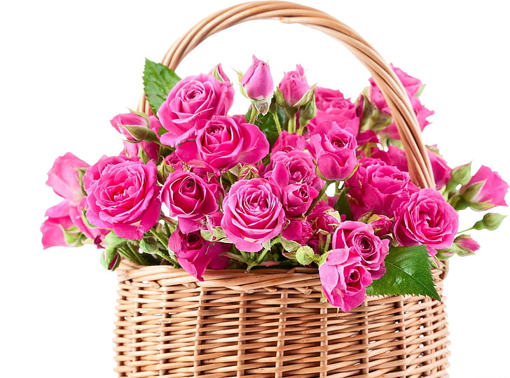 beige wicker basket, roses, flowers, lot, basket, HD wallpaper