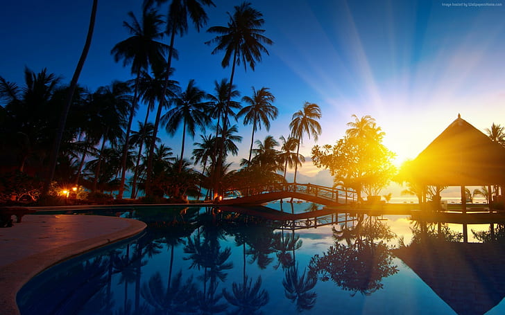 Thailandia, piscina, resort, palme, raggi del sole, Sfondo HD