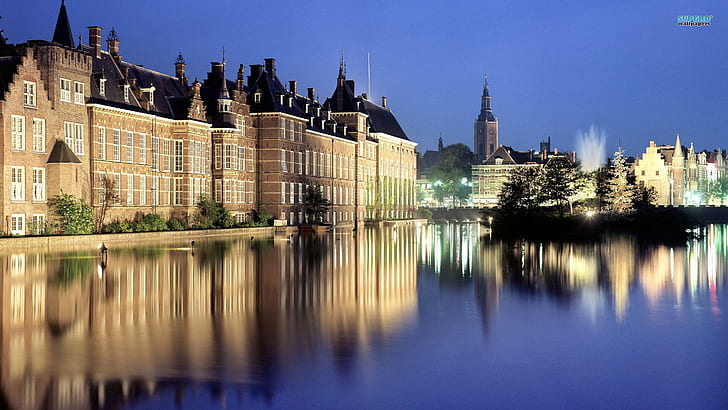 The Dutch Parliament, light, fountain, buildings, night, animals, HD wallpaper