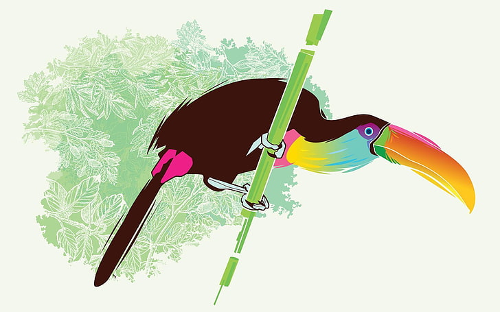 Tukan ptak wektor, wielobarwny ilustracja ptak tukan, sztuka i kreatywność, sztuka, rysunek wektor, ptak, Tapety HD