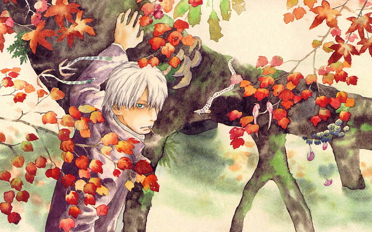 Mann mit grauem Hemd neben Baummalerei, Mushishi, Anime, HD-Hintergrundbild
